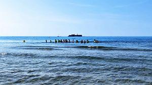 Le Cap d'Agde - Plage Richelieu Ouest - 20 Juin 2025 - 29